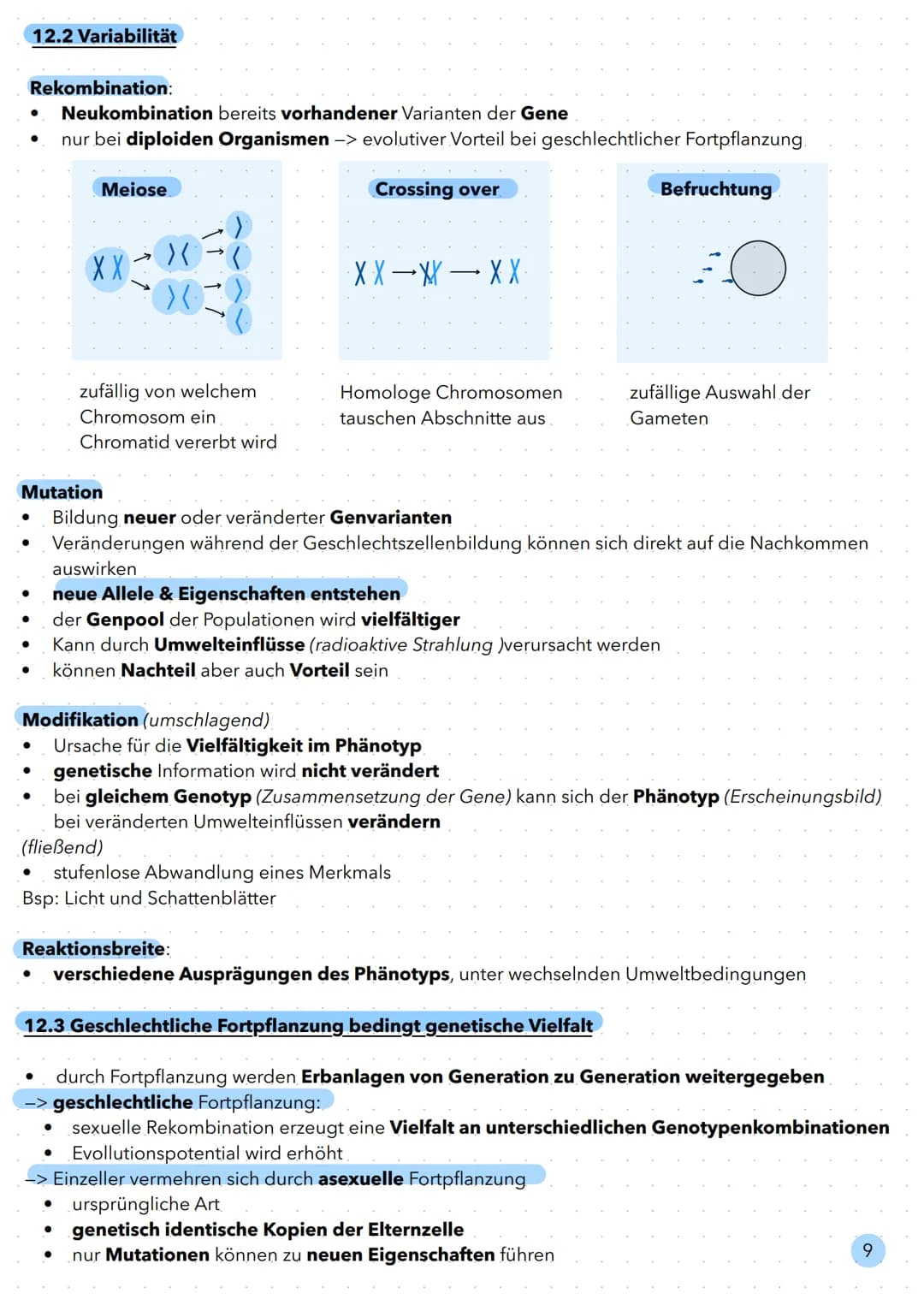 Evolution Biologischer Artenbegriff:
alle Individuen, die fruchtbare Nachkommen miteinander hervorbringen können.
11.3 Homologien und Analog