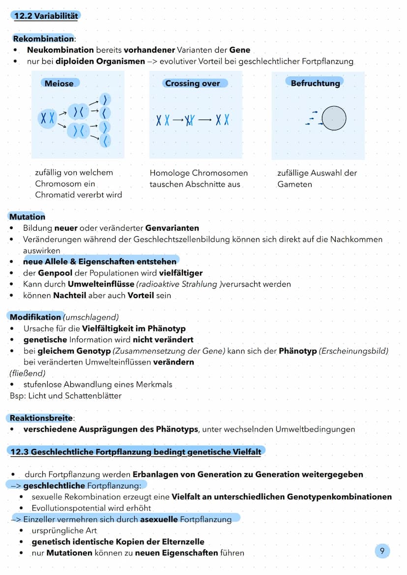 Evolution Biologischer Artenbegriff:
alle Individuen, die fruchtbare Nachkommen miteinander hervorbringen können.
11.3 Homologien und Analog