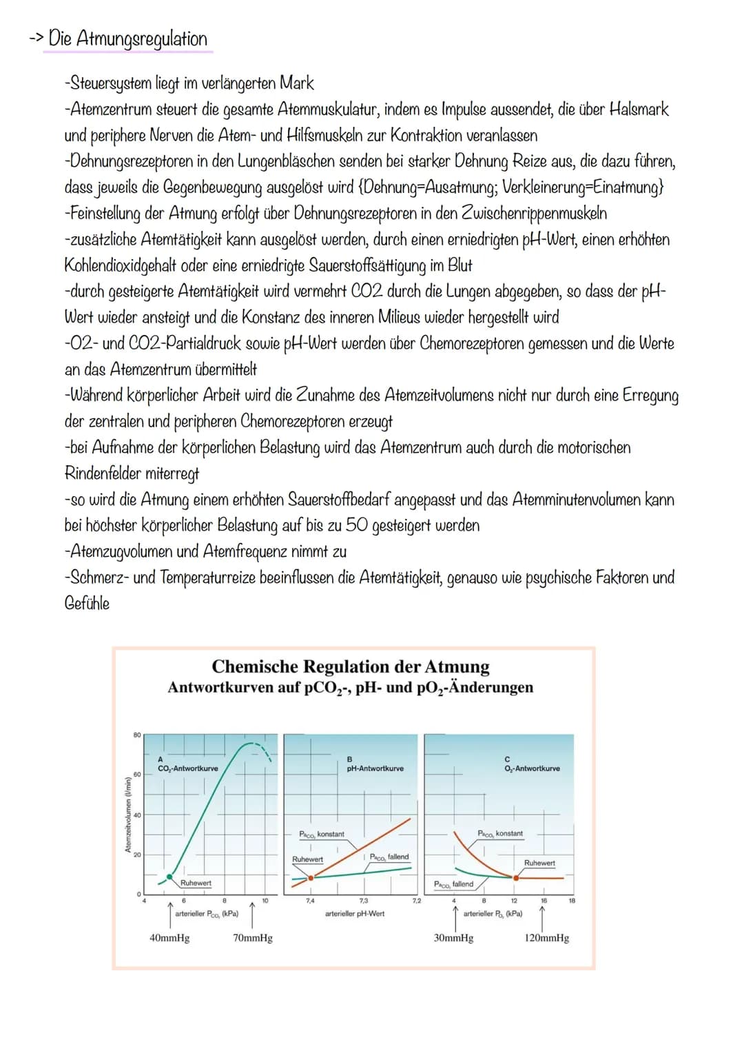 Thema 1: Das Atmungssystem
-> Überblick des Atmungssystems
Atemluft
Gesundheit Klausur
Atmungssystem und Herz-Kreislauf
2. Mundrachen
3. Keh