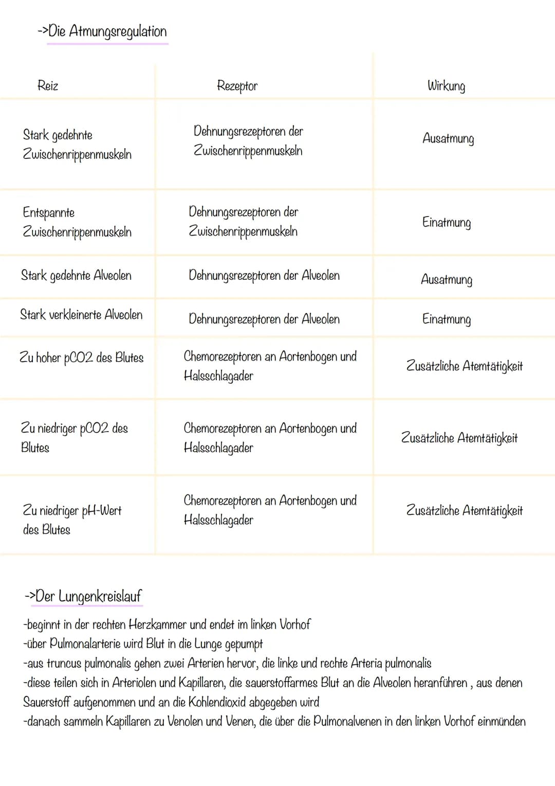 Thema 1: Das Atmungssystem
-> Überblick des Atmungssystems
Atemluft
Gesundheit Klausur
Atmungssystem und Herz-Kreislauf
2. Mundrachen
3. Keh