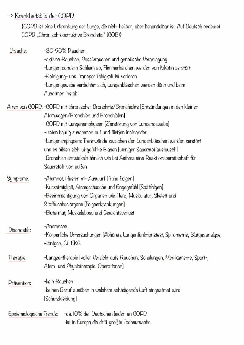 Thema 1: Das Atmungssystem
-> Überblick des Atmungssystems
Atemluft
Gesundheit Klausur
Atmungssystem und Herz-Kreislauf
2. Mundrachen
3. Keh