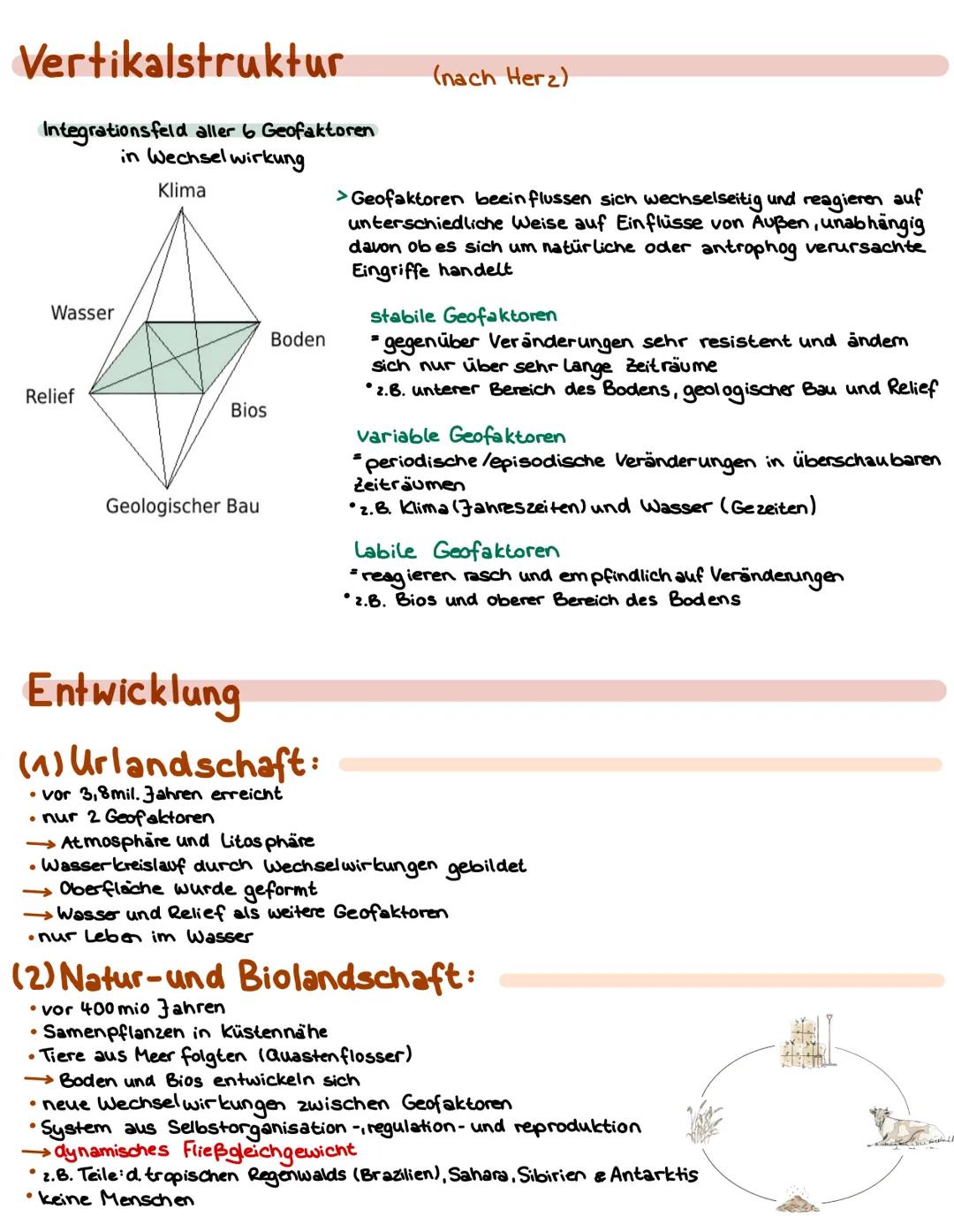 LANDSCHAFTEN
Sphären d. Erde
Atmosphäre
Litosphäre
Biosphäre
●
Hydrosphäre
Reliefsphäre
Pedasphare
Geofaktor
Klima
geologischer Bau
Bios
Was
