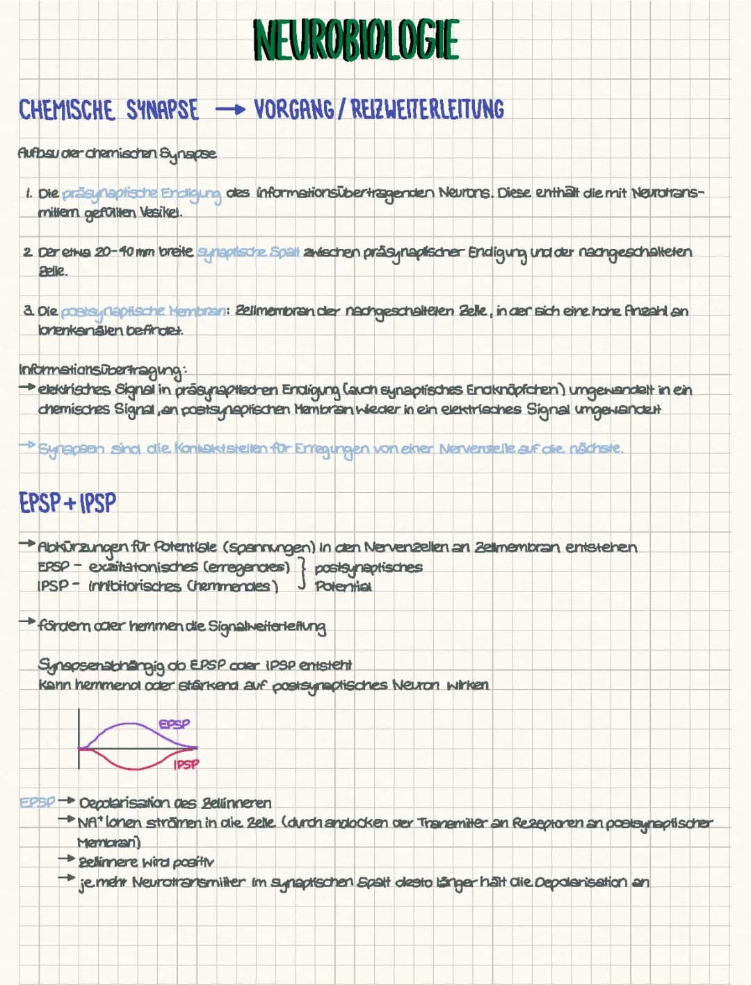 Q3 Biologie Neurobiologie