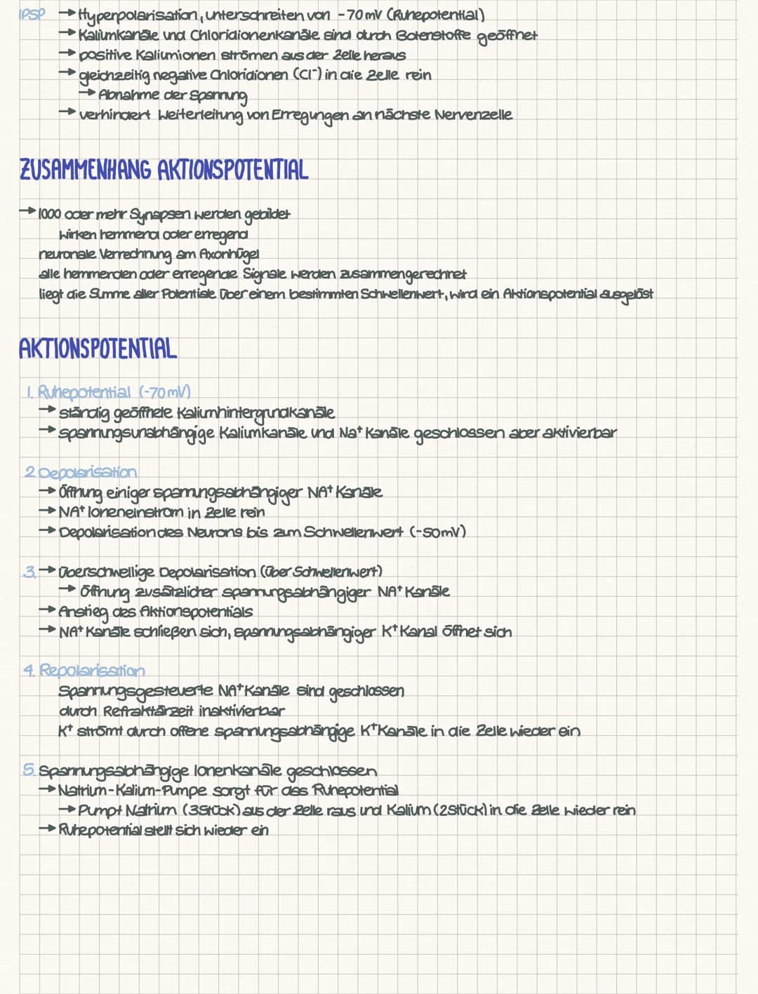 CHEMISCHE SYNAPSE
Aufbau der chemischen Synapse
1. Die präsynaptische Endigung des informationsübertragenden Neurons. Diese enthält die mit 