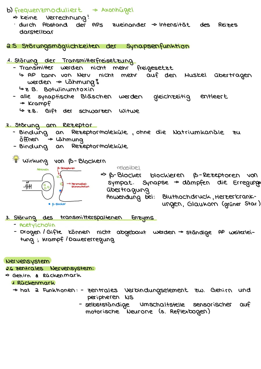 2. Steuerungs- und Regelungsvorgange
Nervenphysiologie
2.1 Aufbau
Nervenzelle:
AP
Sinnes- und Nervenzelle
Dentriten
AP
Zell körper
(Soma)
Ax