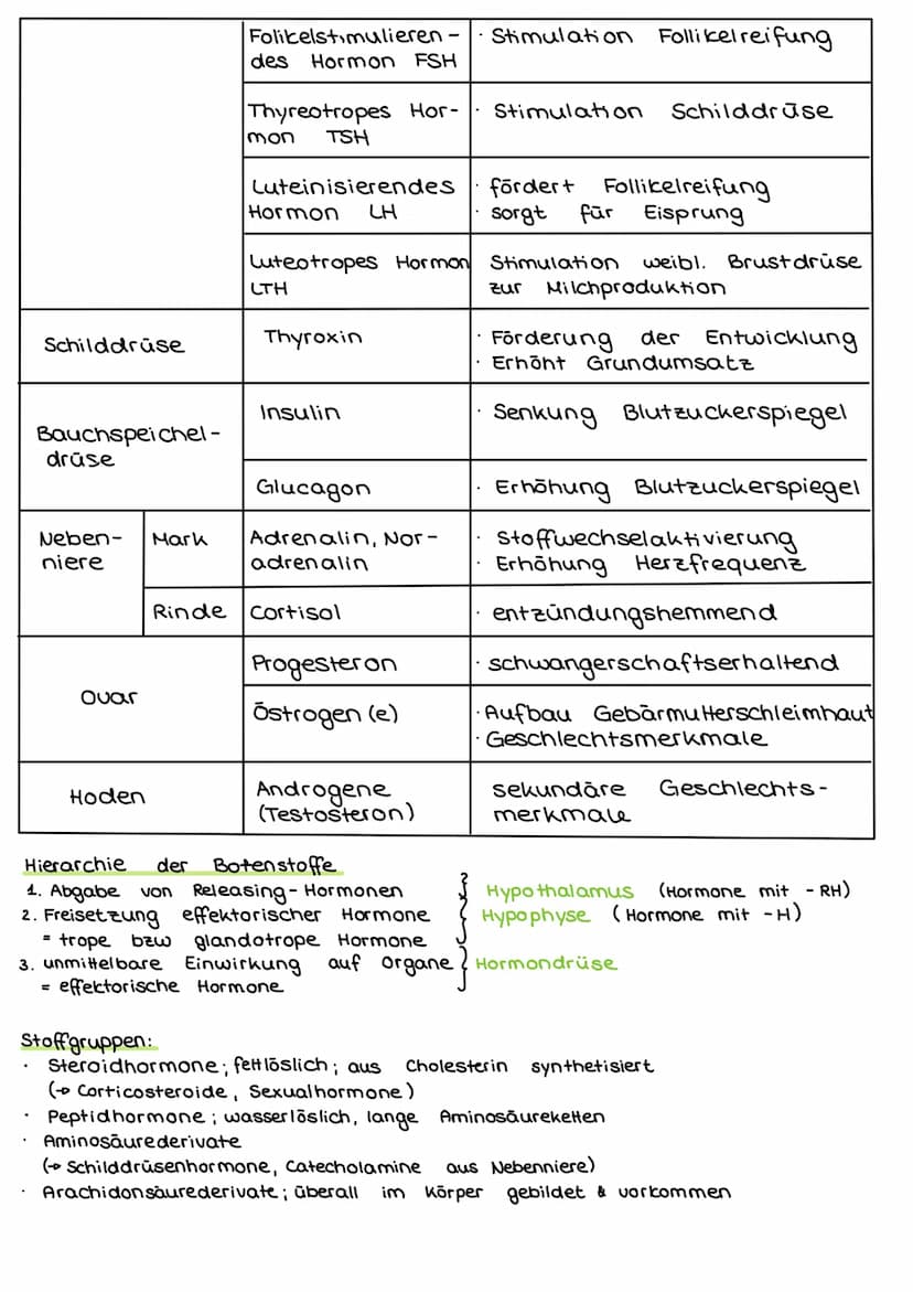 2. Steuerungs- und Regelungsvorgange
Nervenphysiologie
2.1 Aufbau
Nervenzelle:
AP
Sinnes- und Nervenzelle
Dentriten
AP
Zell körper
(Soma)
Ax