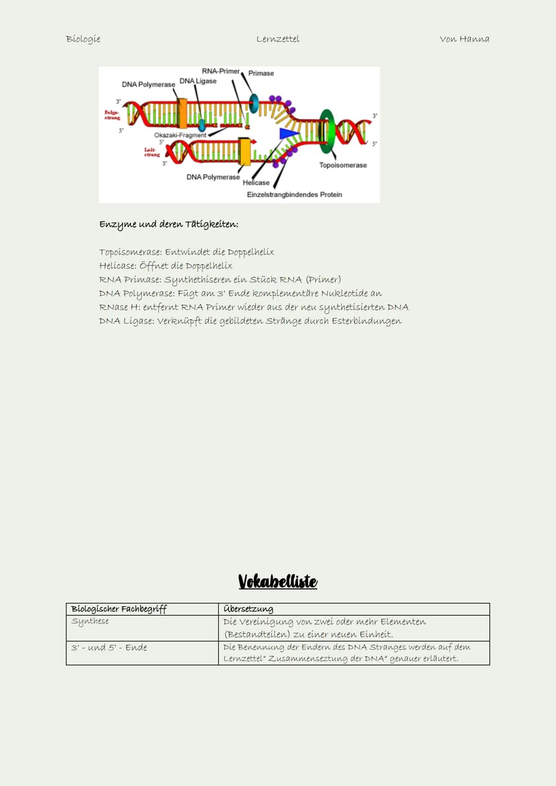 Biologie
über diesen Lernzettel
Folgende Lernzettel werden vorausgesetzt:
●
Lernzettel: Aufbau einer Zelle (Tierische und pflanzliche)
Lernz