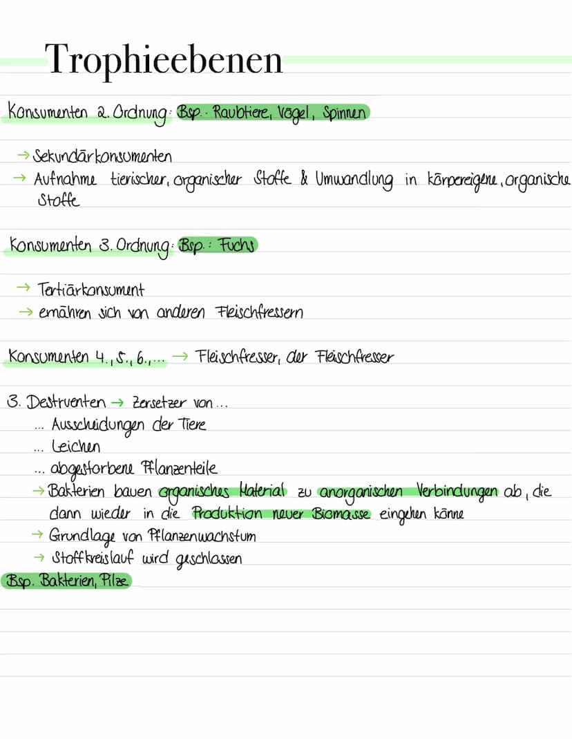 Trophieebenen
> Kennzeichnung für eine bestimmte Stufe einer Nahrungskette im Ökosystem.
Han unterscheidet zwischen 3 Traphieebenen:
1. Prod