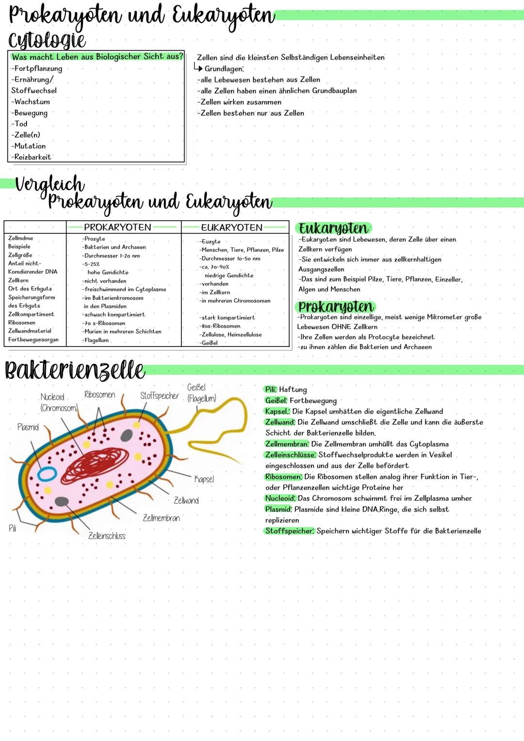 Prokaryoten und Eukaryoten
cytologie
Was macht Leben aus Biologischer Sicht aus?
-Fortpflanzung
-Ernährung/
Stoffwechsel
-Wachstum
-Bewegung