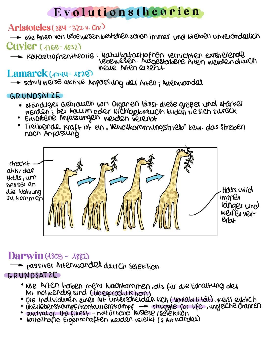 # Evolutionstheorien

Aristoteles (384-322 v. Chr.)
- alle Arten von lebewesen bestehen schon immer und bleiben unveränderlich

Cuvier (1769