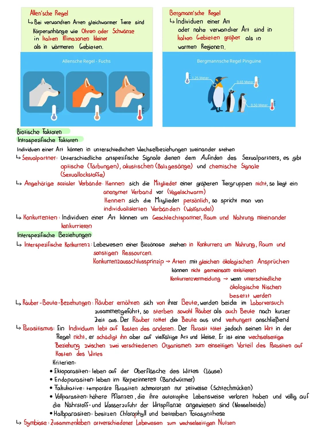 Definitionen der Fachbegriffe
Autökologie
↳> der einzelne Organismus und die Wechselwirkungen zwischem ihm und der Umwelt
stehen hier im Mit