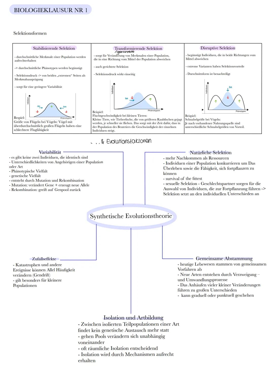 BIOLOGIEKLAUSUR NR 1
Selektionsformen
Stabilisierende Selektion
- durchschnittliche Merkmale einer Population werden
aufrechterhalten
-> dur