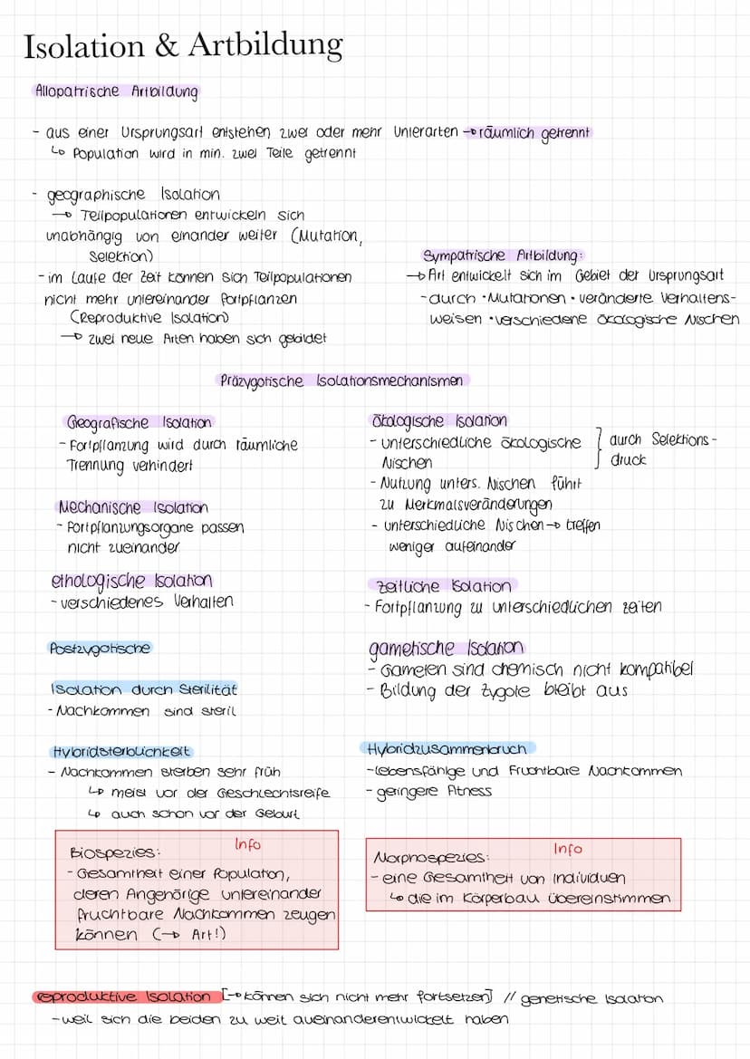 BIOLOGIEKLAUSUR NR 1
Selektionsformen
Stabilisierende Selektion
- durchschnittliche Merkmale einer Population werden
aufrechterhalten
-> dur