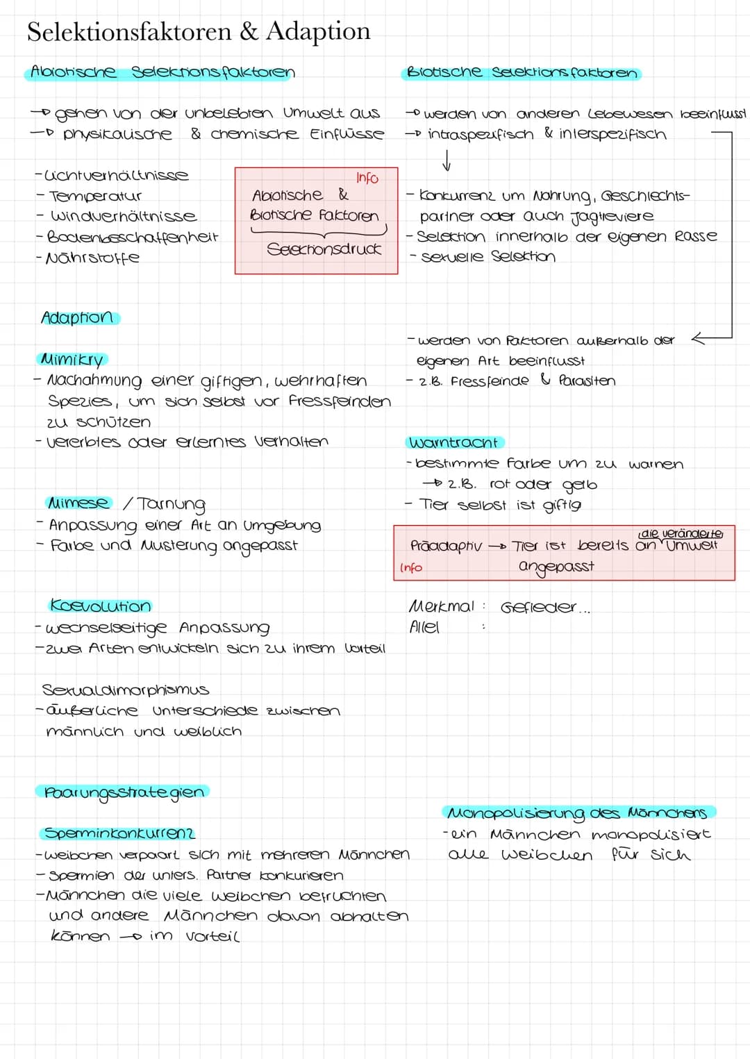 BIOLOGIEKLAUSUR NR 1
Selektionsformen
Stabilisierende Selektion
- durchschnittliche Merkmale einer Population werden
aufrechterhalten
-> dur
