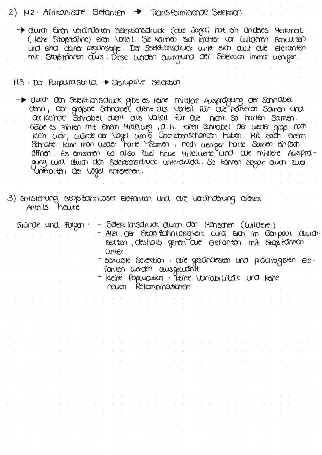 Selektion
M1 Selektionstypen
Merkmalausprägung vor der Selektion
Ann
in m
M2 Afrikanische Elefanten
Der Afrikanische Elefant zählt zu den vo