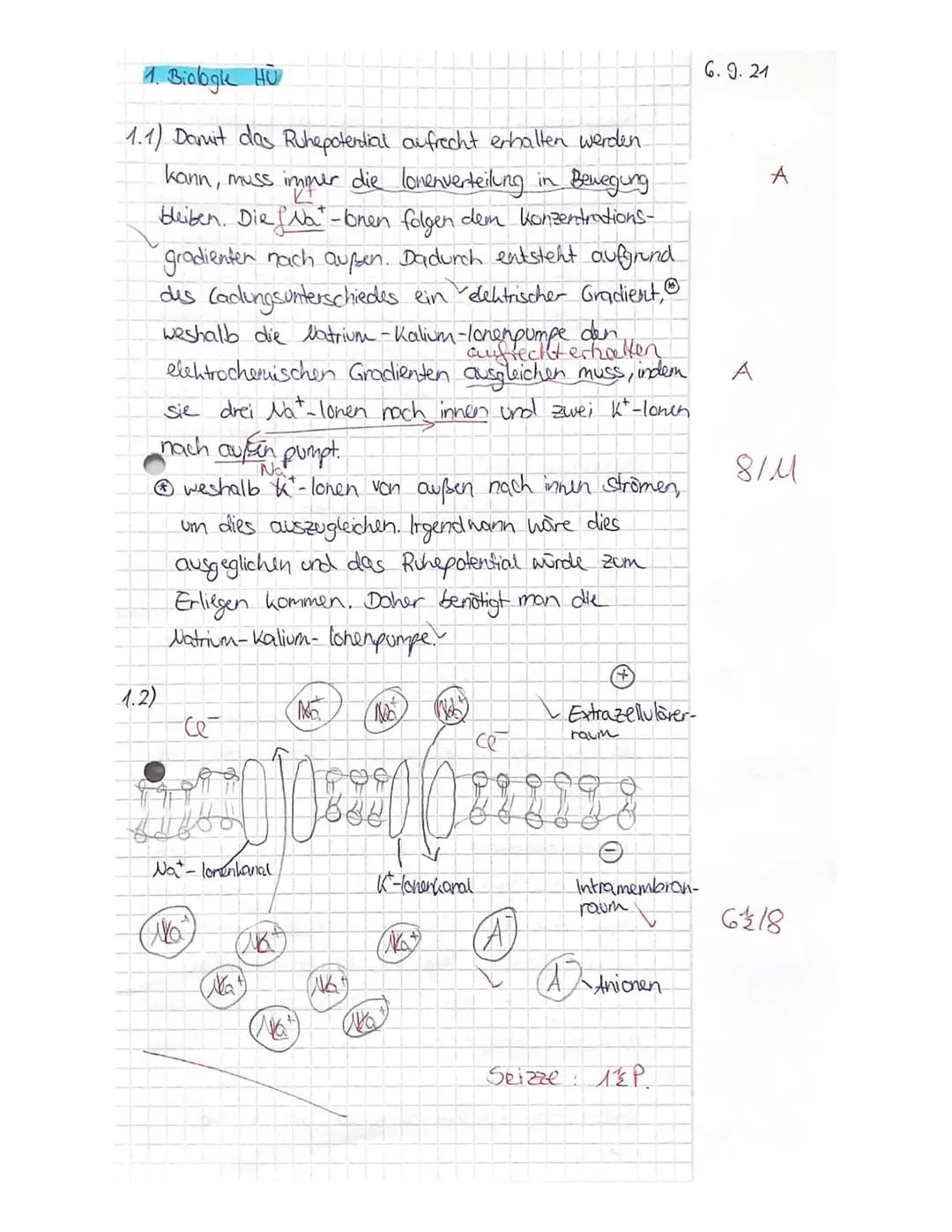 Nachname:
Vorname:
Viel Erfolg!!!
Ruhepotential und Aktionspotential
1. HÜ Biologie
+30-
-40
-70
-90-
2.2
Material M1:
Membranpotential in m