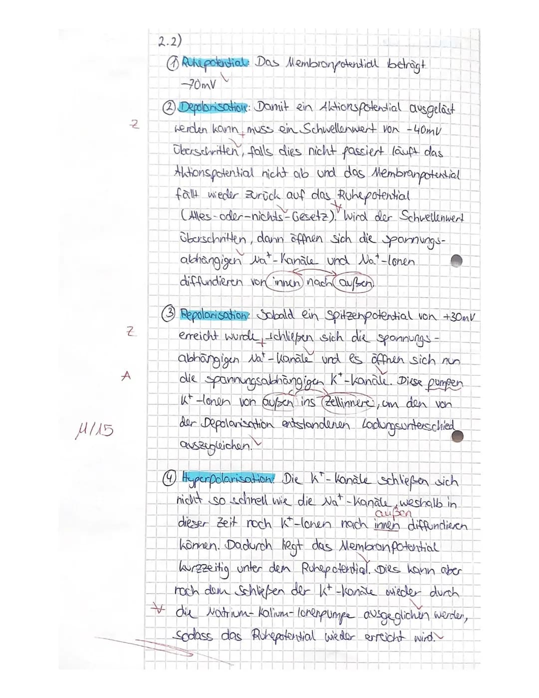 Nachname:
Vorname:
Viel Erfolg!!!
Ruhepotential und Aktionspotential
1. HÜ Biologie
+30-
-40
-70
-90-
2.2
Material M1:
Membranpotential in m