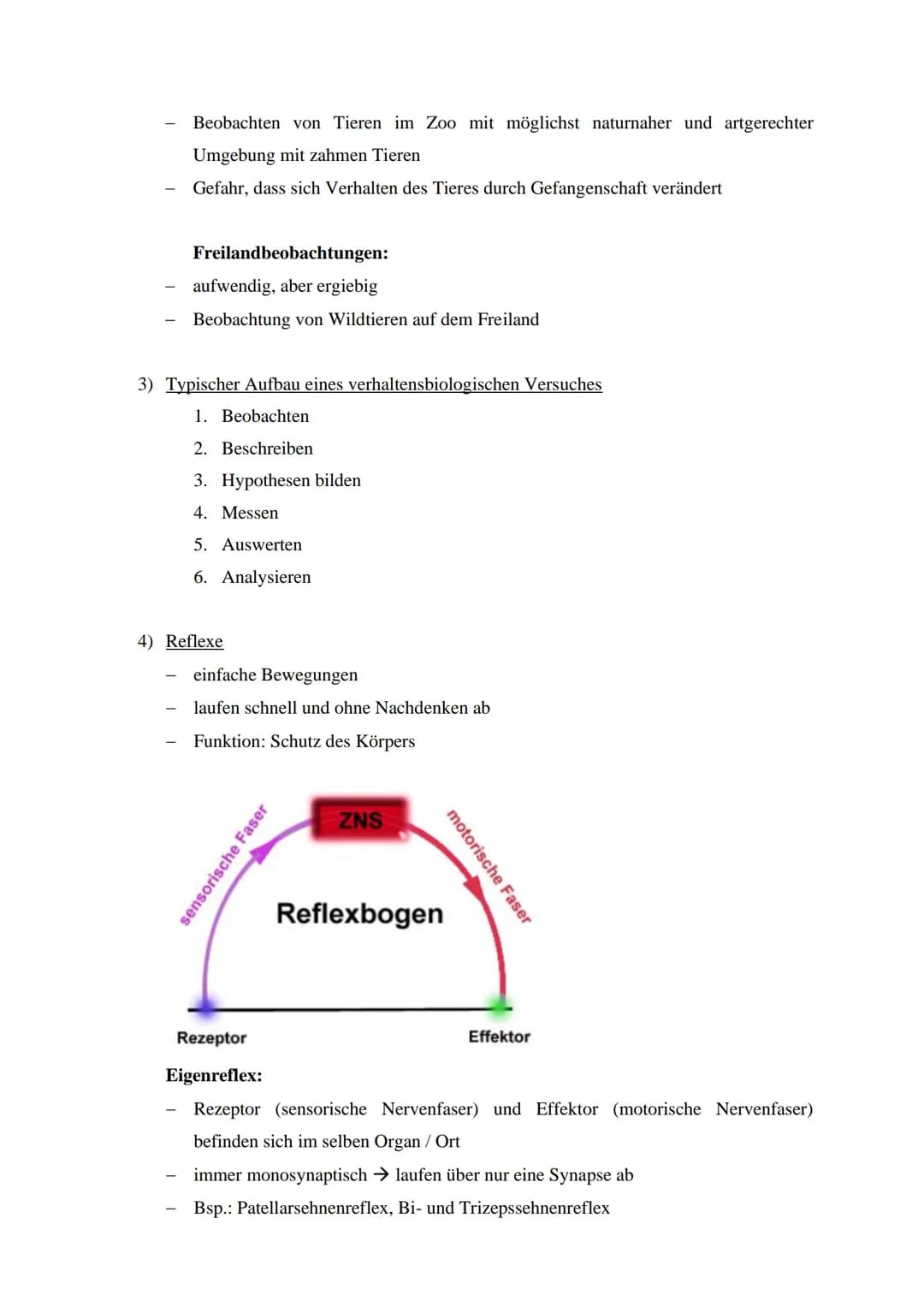 Themen:
● Proximate und ultimate Ursachen von Verhalten
Methoden der Verhaltensbiologie
● Reflexe
Biologie-Lernzettel Q4: Reflexe und Verhal