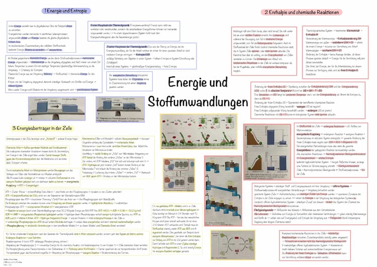 Know Energie und Stoffumwandlugen thumbnail