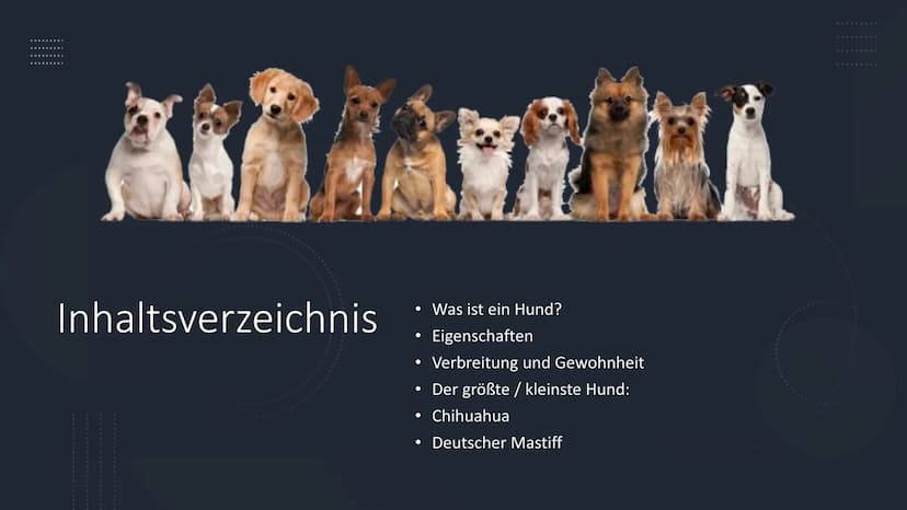 Von Nico Schmidt
Der Hund E
Inhaltsverzeichnis
• Eigenschaften
Verbreitung und Gewohnheit
Der größte / kleinste Hund:
●
●
Was ist ein Hund?
