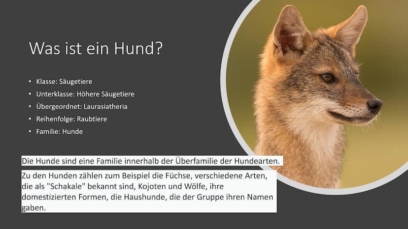 Von Nico Schmidt
Der Hund E
Inhaltsverzeichnis
• Eigenschaften
Verbreitung und Gewohnheit
Der größte / kleinste Hund:
●
●
Was ist ein Hund?
