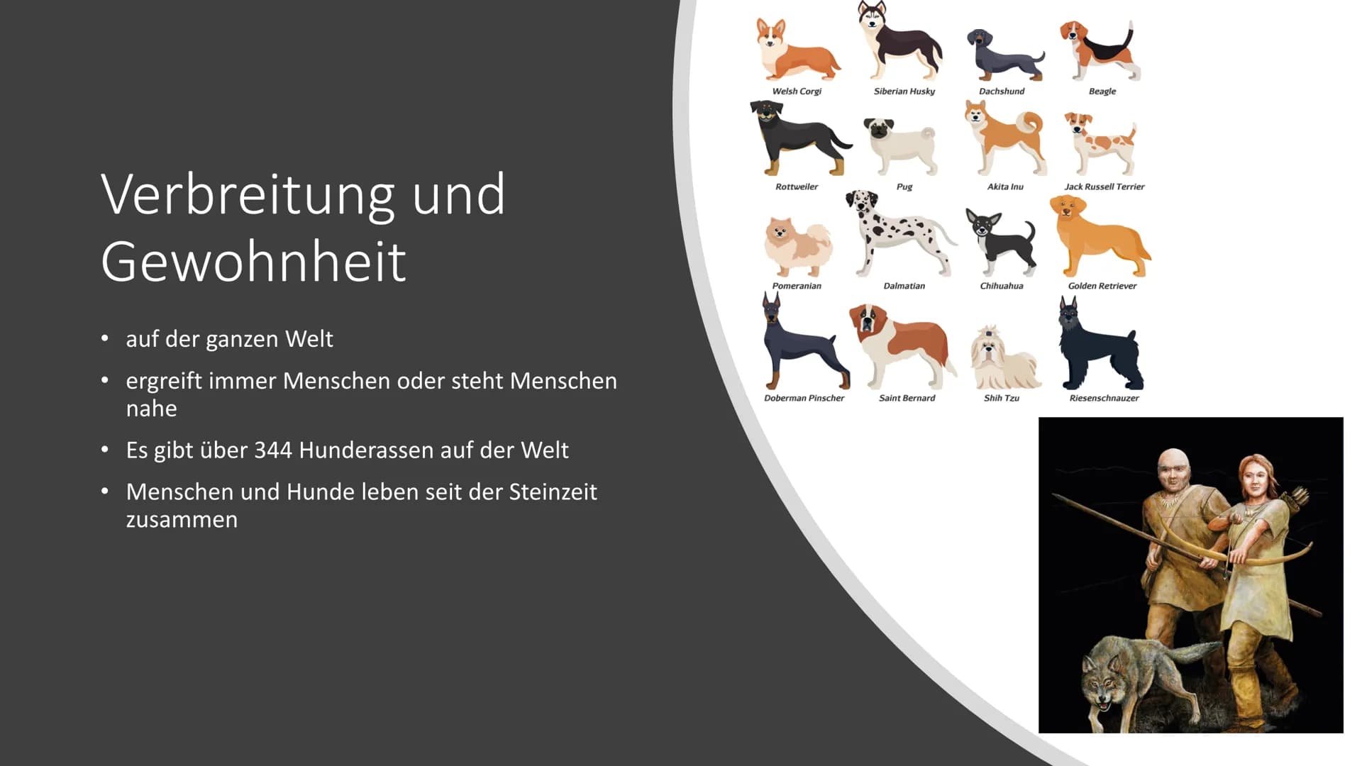 Von Nico Schmidt
Der Hund E
Inhaltsverzeichnis
• Eigenschaften
Verbreitung und Gewohnheit
Der größte / kleinste Hund:
●
●
Was ist ein Hund?
