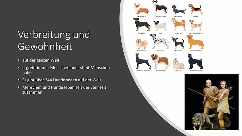 Von Nico Schmidt
Der Hund E
Inhaltsverzeichnis
• Eigenschaften
Verbreitung und Gewohnheit
Der größte / kleinste Hund:
●
●
Was ist ein Hund?
