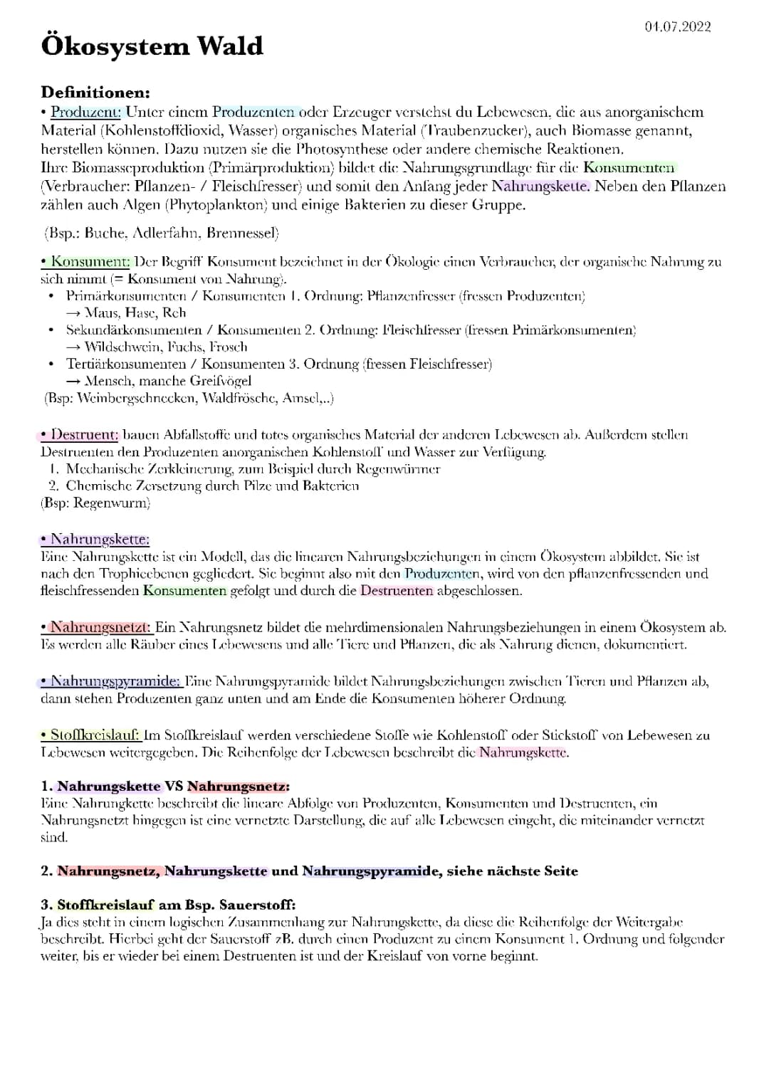 Ökosystem Wald: Nahrungskette, Nahrungsnetz, Nahrungspyramide, Konsumenten, Produzenten,.. 
