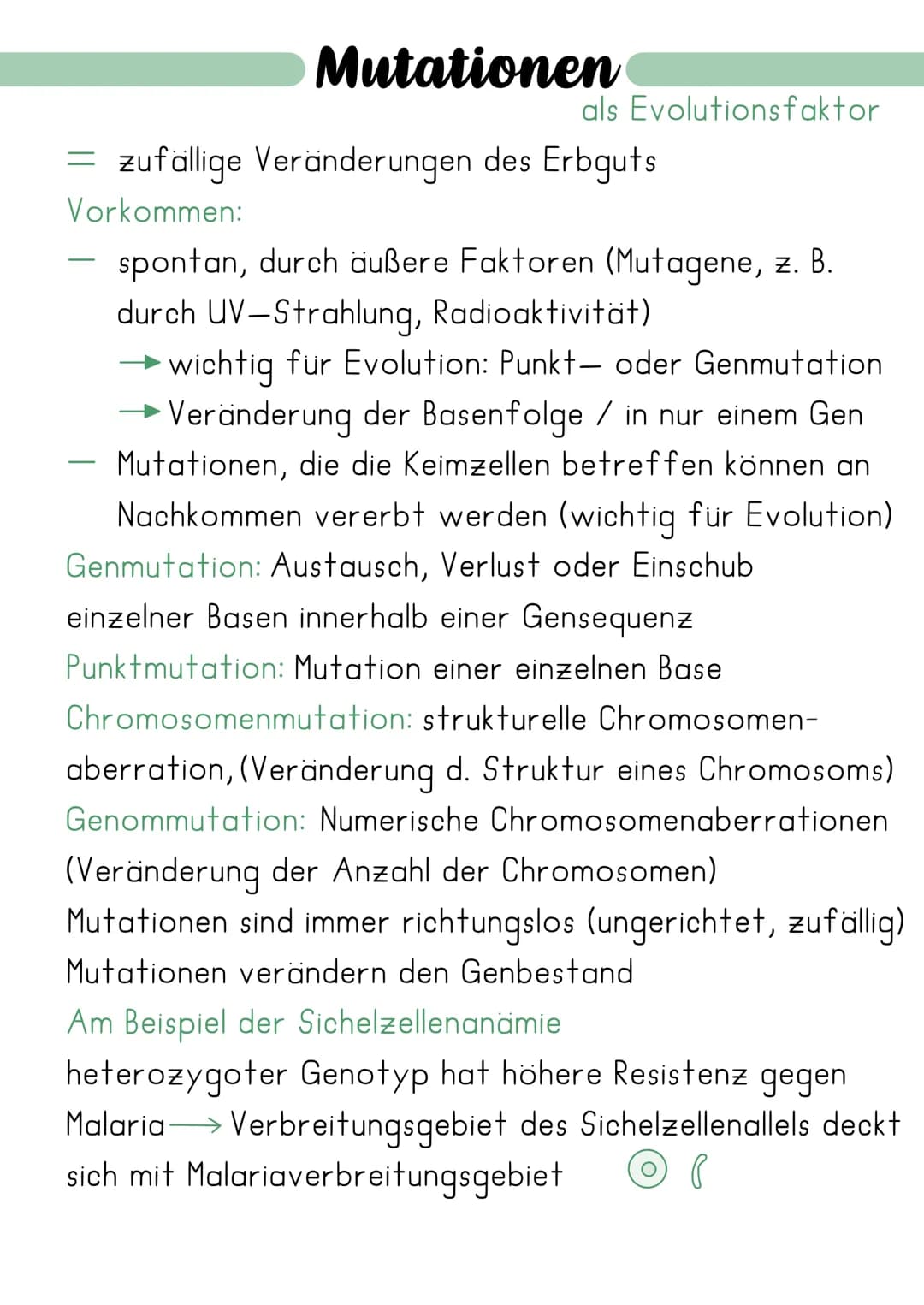 Synthetische Evolutionstheorie
= erweiterte Evolutionstheorie, welche die Erkenntnisse
Charles Darwins mit neuen Erkenntnissen der Genetik
(