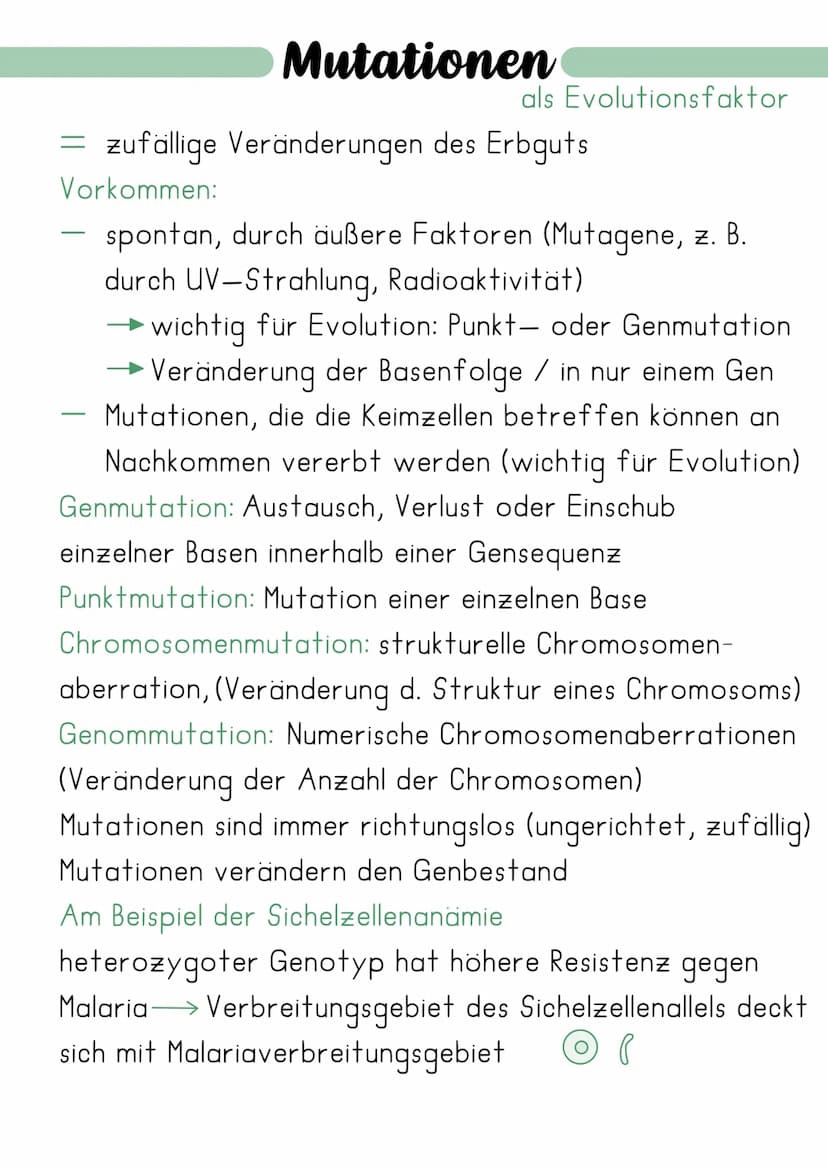 Synthetische Evolutionstheorie
= erweiterte Evolutionstheorie, welche die Erkenntnisse
Charles Darwins mit neuen Erkenntnissen der Genetik
(