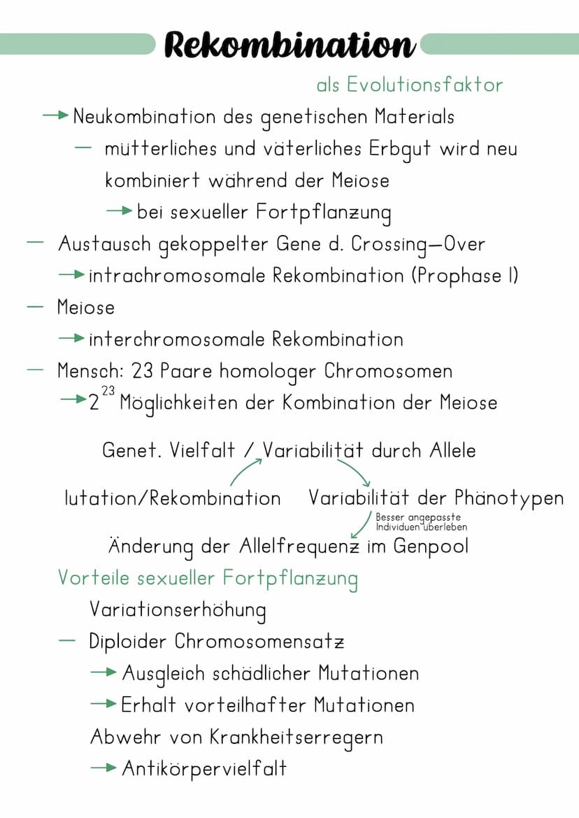 Synthetische Evolutionstheorie
= erweiterte Evolutionstheorie, welche die Erkenntnisse
Charles Darwins mit neuen Erkenntnissen der Genetik
(