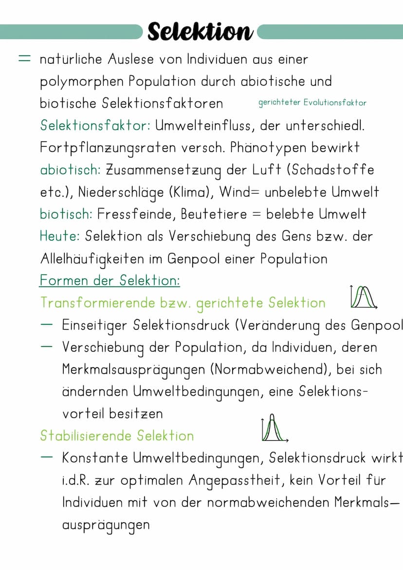 Synthetische Evolutionstheorie
= erweiterte Evolutionstheorie, welche die Erkenntnisse
Charles Darwins mit neuen Erkenntnissen der Genetik
(
