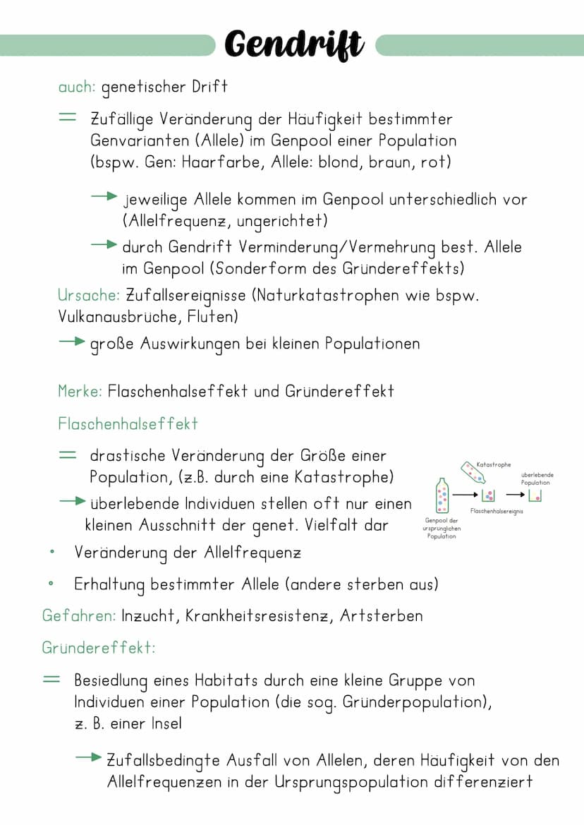 Synthetische Evolutionstheorie
= erweiterte Evolutionstheorie, welche die Erkenntnisse
Charles Darwins mit neuen Erkenntnissen der Genetik
(