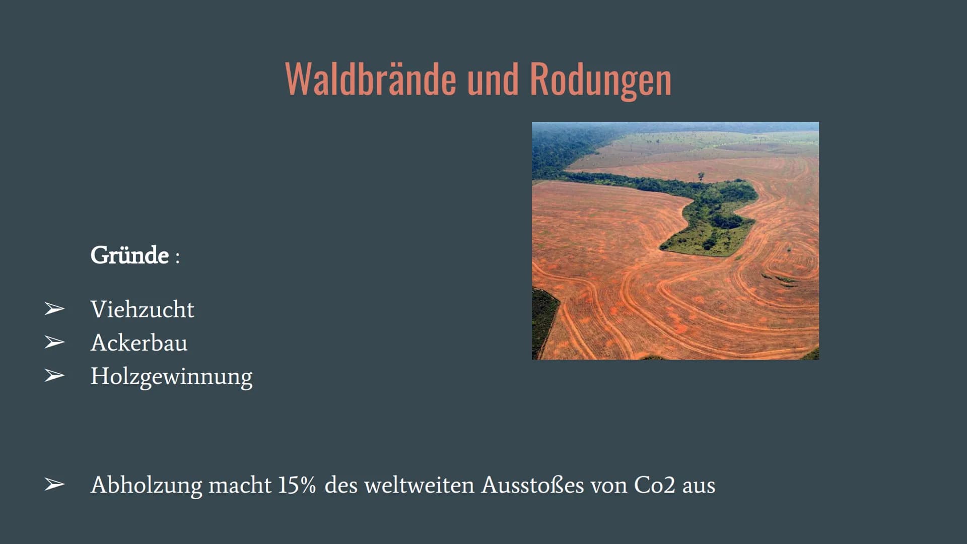 Amazonas Regenwald
Wirtschaftswunder
oder
Naturschutzgebiet? Allgemeines
Fallbeispiele
o Belo Monte
Gliederung
O ARPA
o Waldbrände und Rodun