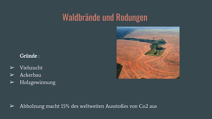 Amazonas Regenwald
Wirtschaftswunder
oder
Naturschutzgebiet? Allgemeines
Fallbeispiele
o Belo Monte
Gliederung
O ARPA
o Waldbrände und Rodun