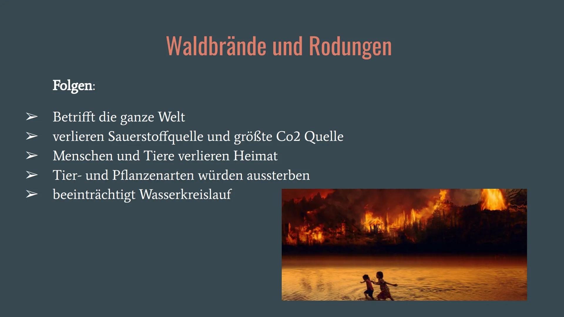 Amazonas Regenwald
Wirtschaftswunder
oder
Naturschutzgebiet? Allgemeines
Fallbeispiele
o Belo Monte
Gliederung
O ARPA
o Waldbrände und Rodun