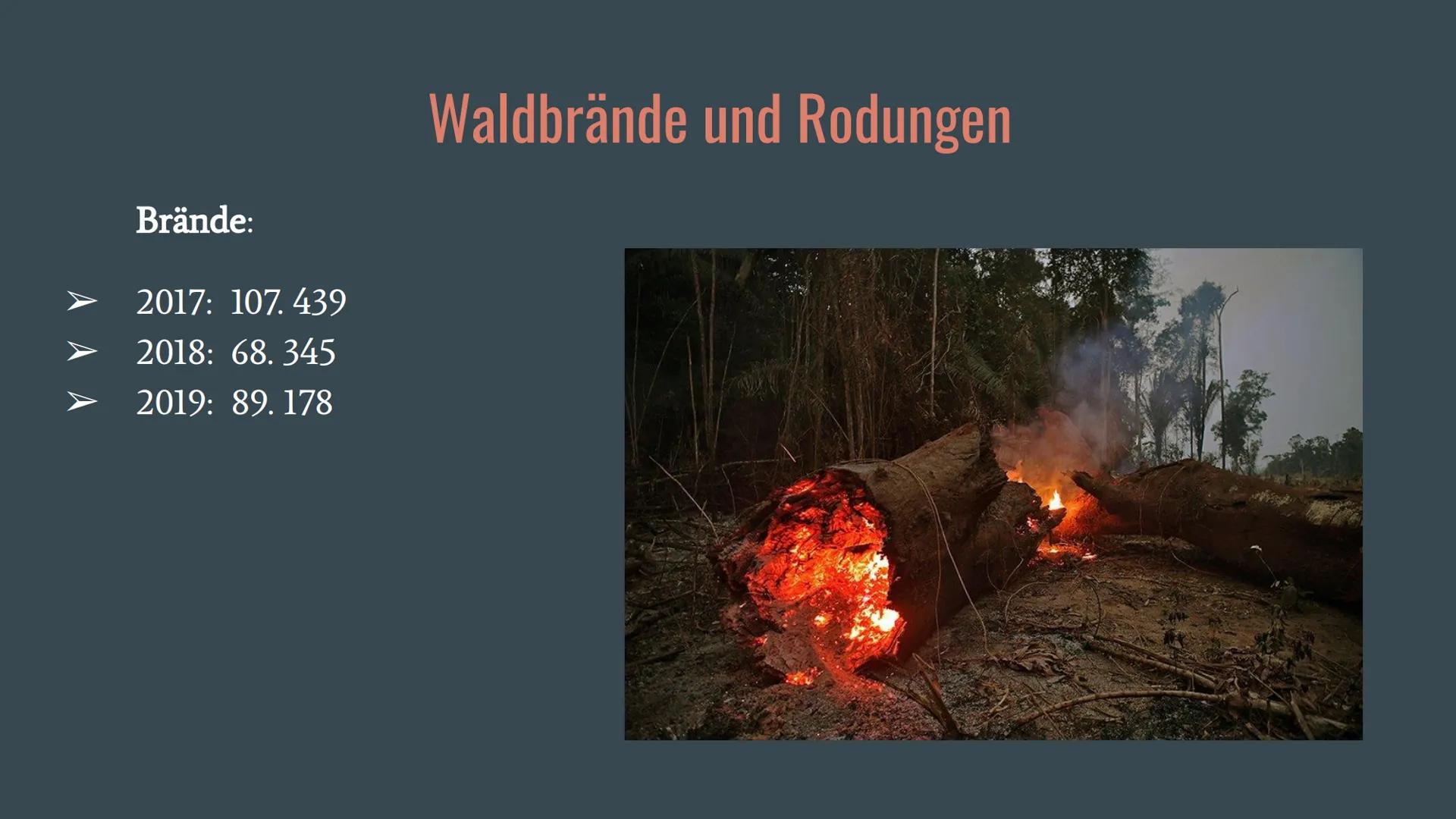 Amazonas Regenwald
Wirtschaftswunder
oder
Naturschutzgebiet? Allgemeines
Fallbeispiele
o Belo Monte
Gliederung
O ARPA
o Waldbrände und Rodun