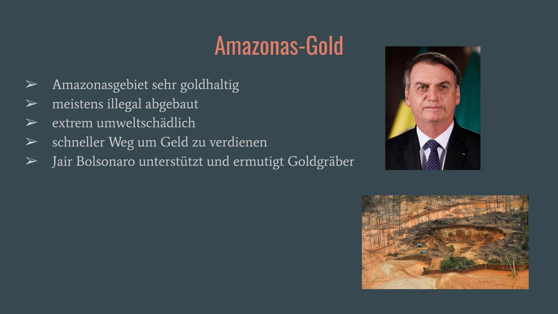 Amazonas Regenwald
Wirtschaftswunder
oder
Naturschutzgebiet? Allgemeines
Fallbeispiele
o Belo Monte
Gliederung
O ARPA
o Waldbrände und Rodun