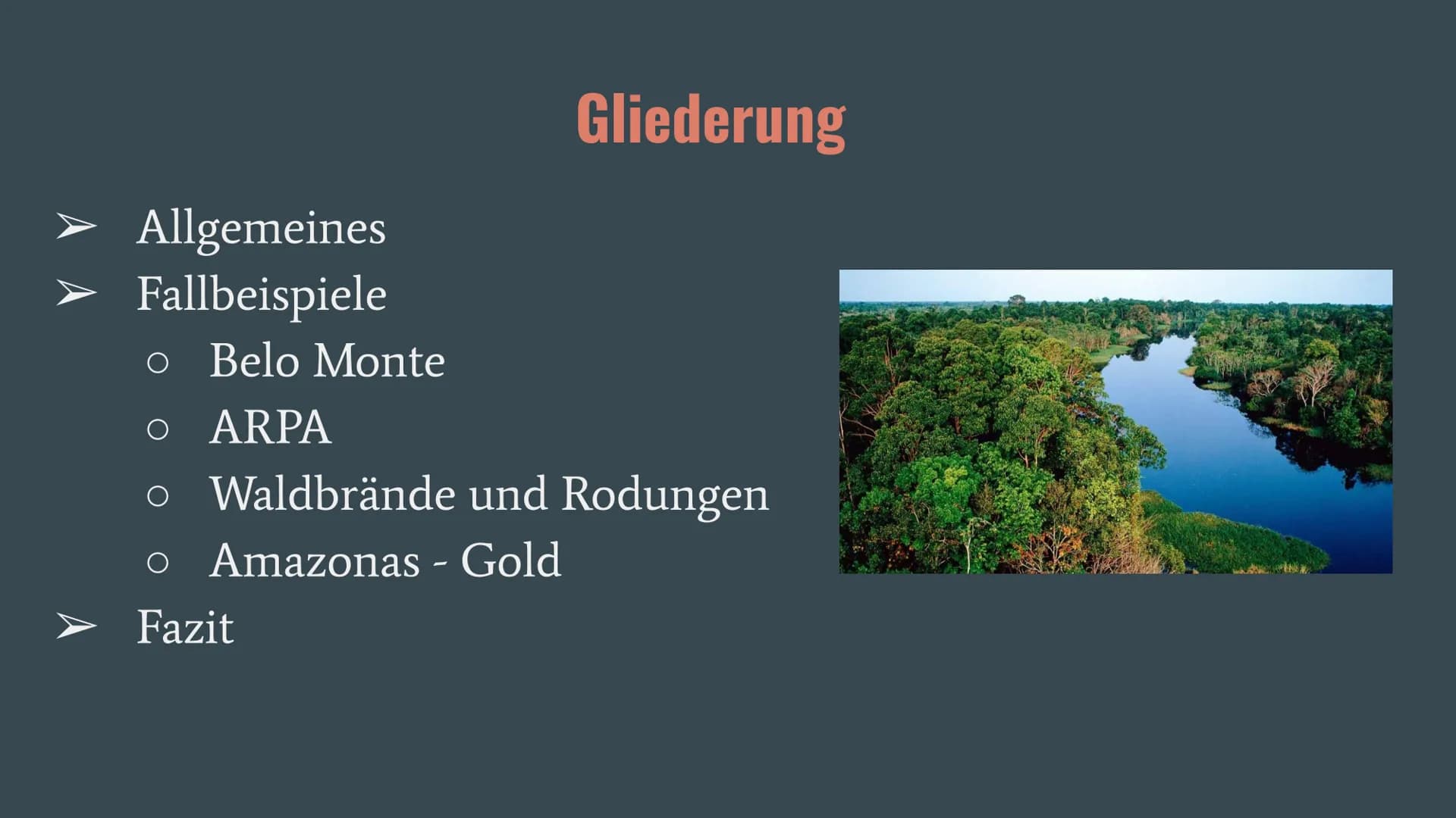 Amazonas Regenwald
Wirtschaftswunder
oder
Naturschutzgebiet? Allgemeines
Fallbeispiele
o Belo Monte
Gliederung
O ARPA
o Waldbrände und Rodun