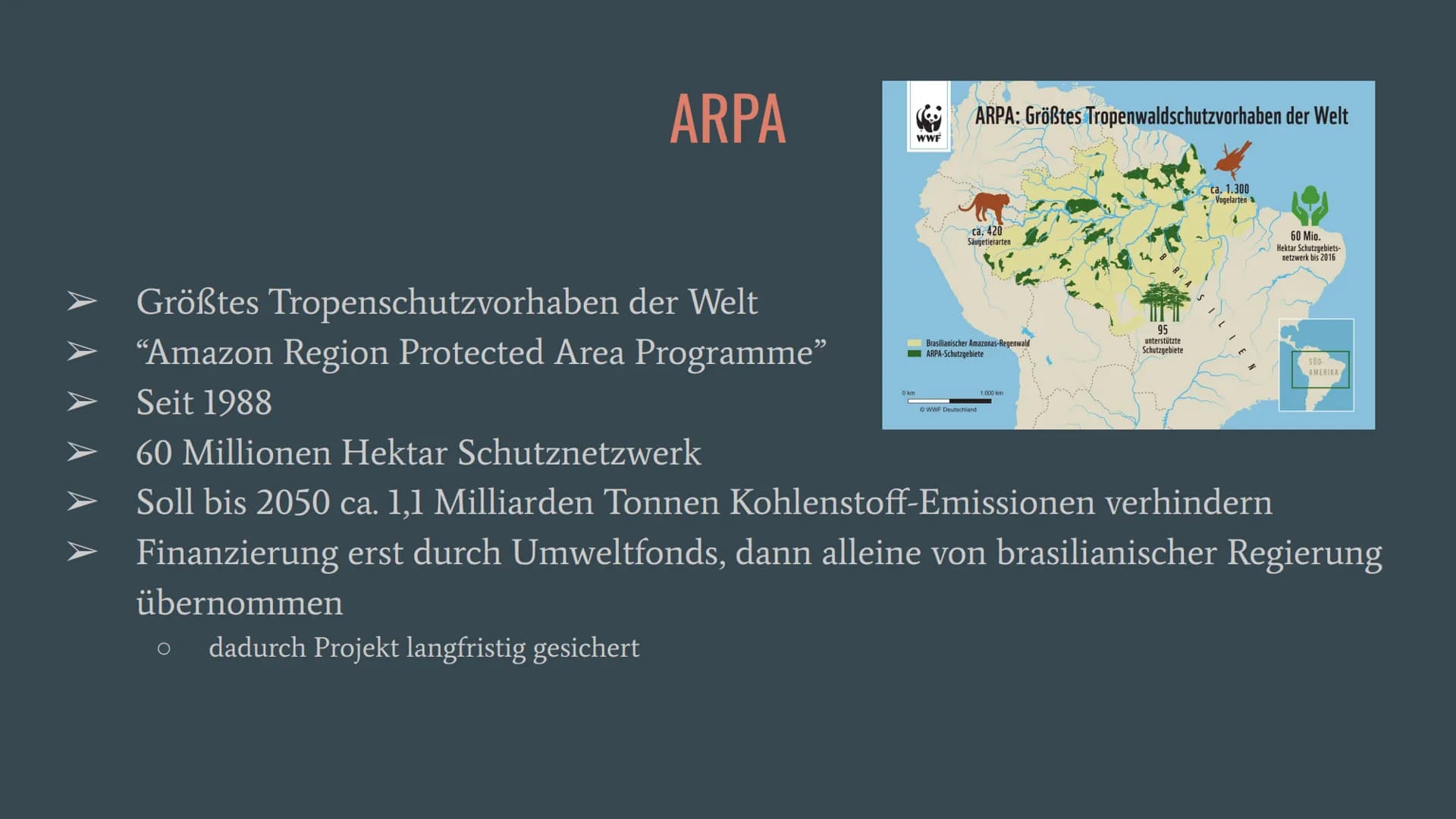 Amazonas Regenwald
Wirtschaftswunder
oder
Naturschutzgebiet? Allgemeines
Fallbeispiele
o Belo Monte
Gliederung
O ARPA
o Waldbrände und Rodun