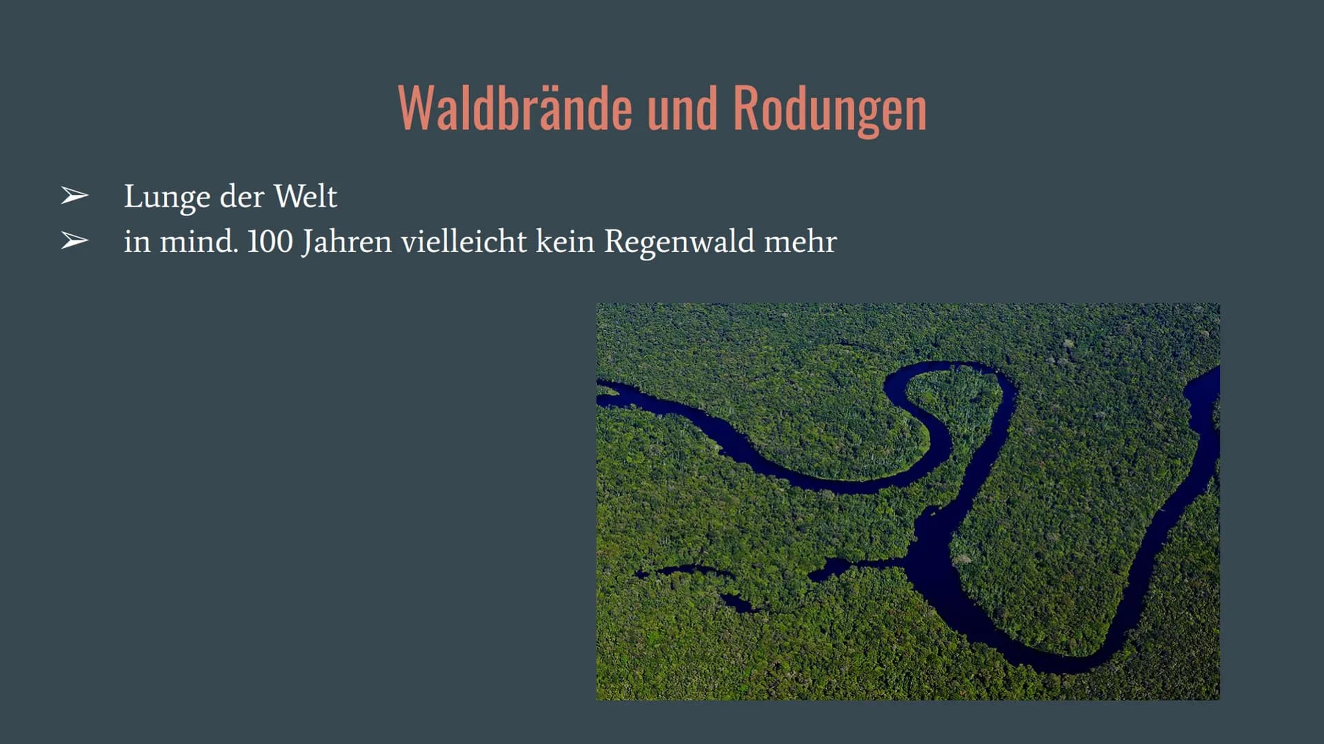 Amazonas Regenwald
Wirtschaftswunder
oder
Naturschutzgebiet? Allgemeines
Fallbeispiele
o Belo Monte
Gliederung
O ARPA
o Waldbrände und Rodun