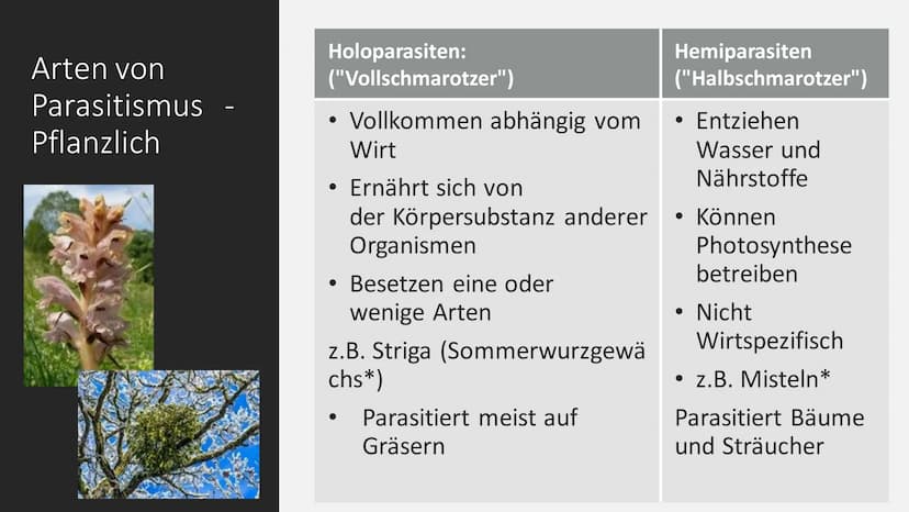 Parasitismus
am Beispiel
Malaria Gliederung
Definition Parasitismus
Arten Parasitismus
Malaria - allegemeine Informationen
Malaria - Krankhe