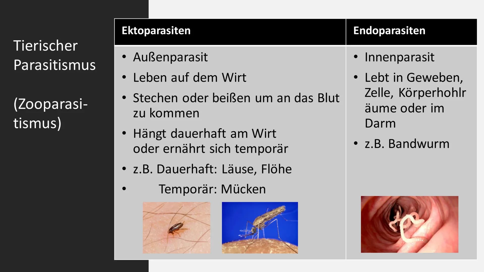 Parasitismus
am Beispiel
Malaria Gliederung
Definition Parasitismus
Arten Parasitismus
Malaria - allegemeine Informationen
Malaria - Krankhe