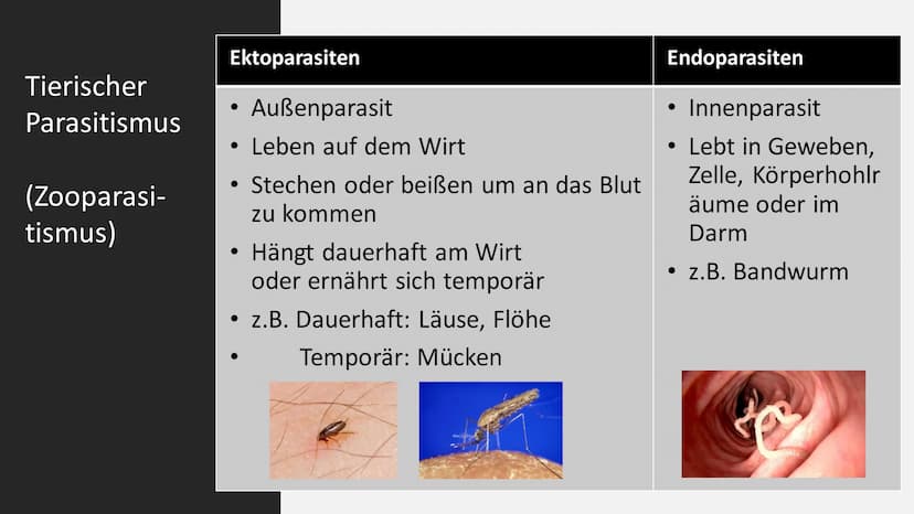 Parasitismus
am Beispiel
Malaria Gliederung
Definition Parasitismus
Arten Parasitismus
Malaria - allegemeine Informationen
Malaria - Krankhe