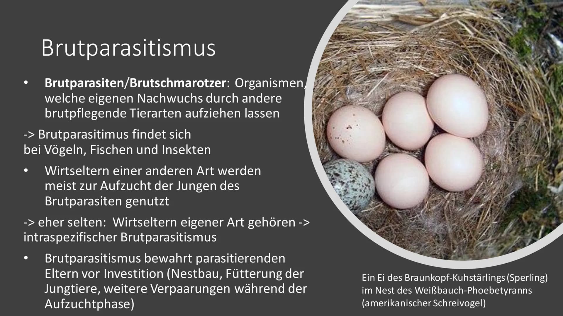 Parasitismus
am Beispiel
Malaria Gliederung
Definition Parasitismus
Arten Parasitismus
Malaria - allegemeine Informationen
Malaria - Krankhe
