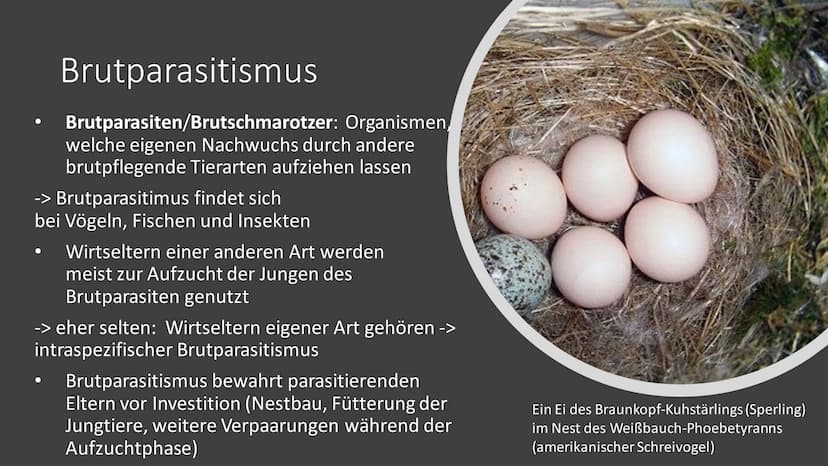 Parasitismus
am Beispiel
Malaria Gliederung
Definition Parasitismus
Arten Parasitismus
Malaria - allegemeine Informationen
Malaria - Krankhe