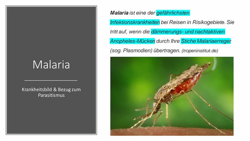 Parasitismus
am Beispiel
Malaria Gliederung
Definition Parasitismus
Arten Parasitismus
Malaria - allegemeine Informationen
Malaria - Krankhe