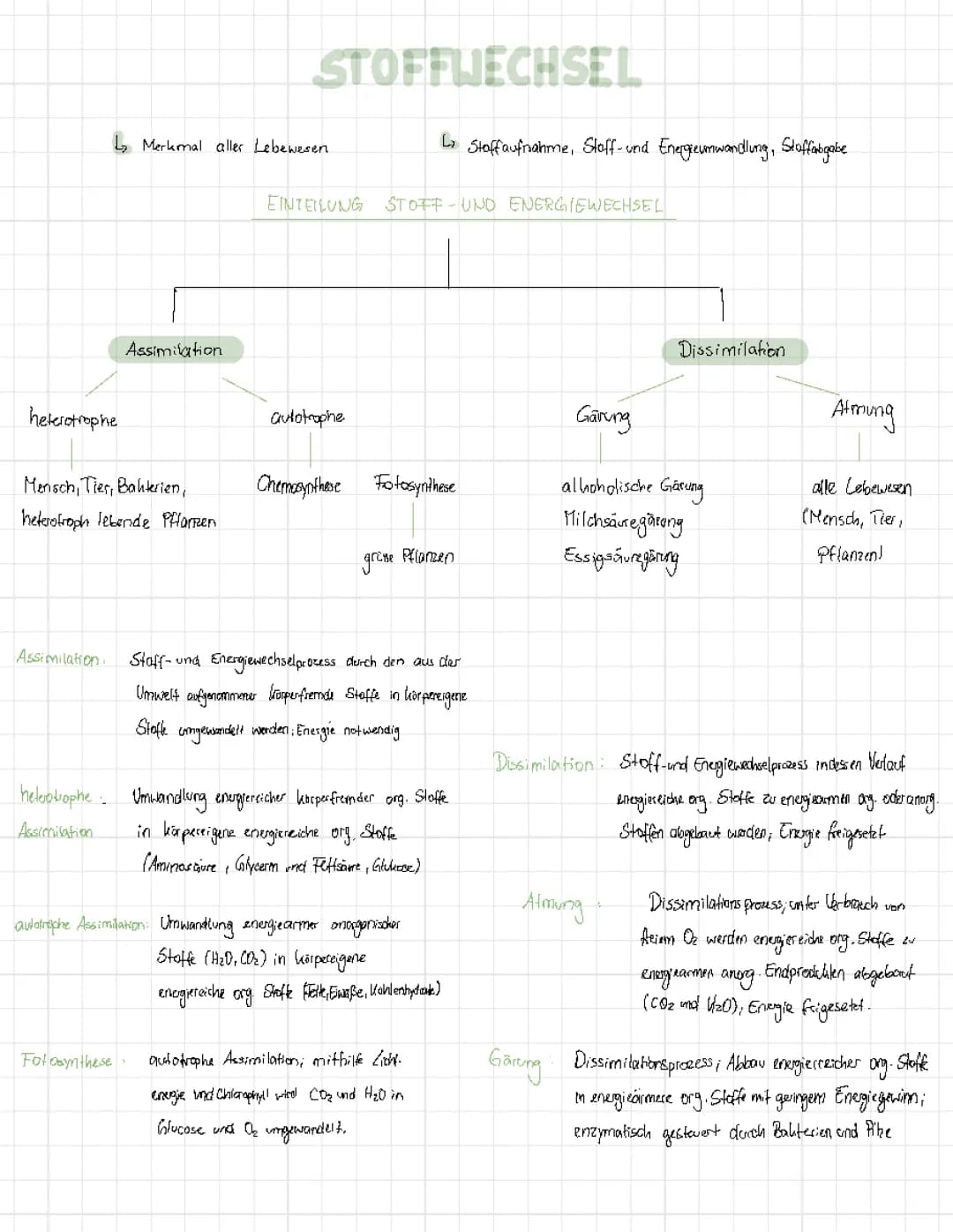 Stoffwechsel (Assimilation, Dissimilation),FotosyntheseLichtreaktion, Dunkelreaktion, Abhängigkeit), Zellatmung und Gärung