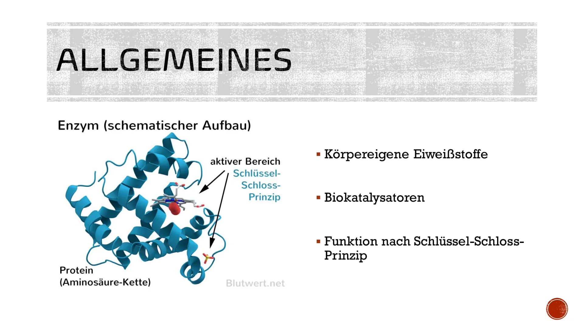 ENZYME
IN DER
MEDIZIN AGENDA
▪ Allgemeines
Entwicklung
Funktionen im Körper
▪ Anwendungsgebiete
Verabreichung
Konkrete Beispiele
■
■
■
■
■
I