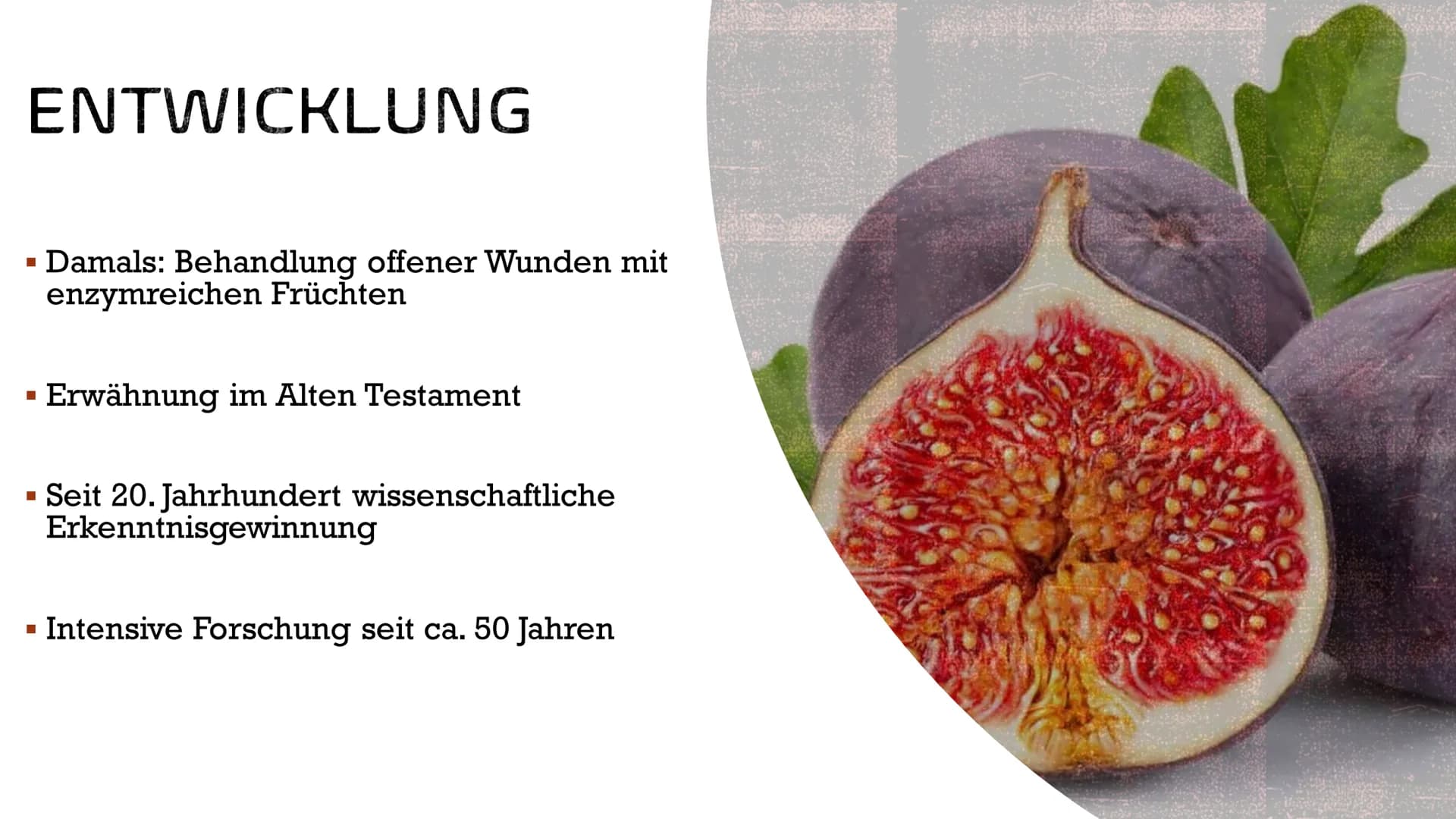 ENZYME
IN DER
MEDIZIN AGENDA
▪ Allgemeines
Entwicklung
Funktionen im Körper
▪ Anwendungsgebiete
Verabreichung
Konkrete Beispiele
■
■
■
■
■
I